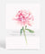 Floral Wall Art Print - Peony II in Pink