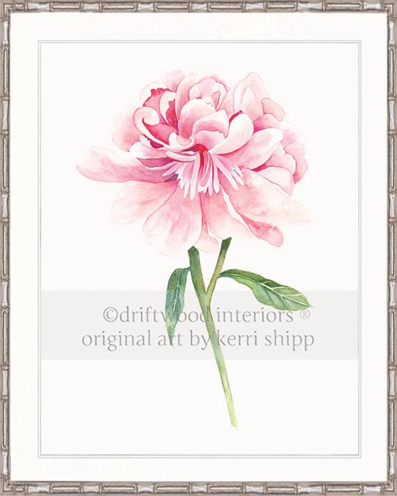 Floral Wall Art Print - Peony II in Pink
