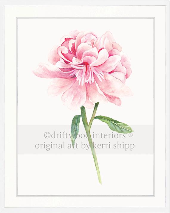 Floral Wall Art Print - Peony II in Pink