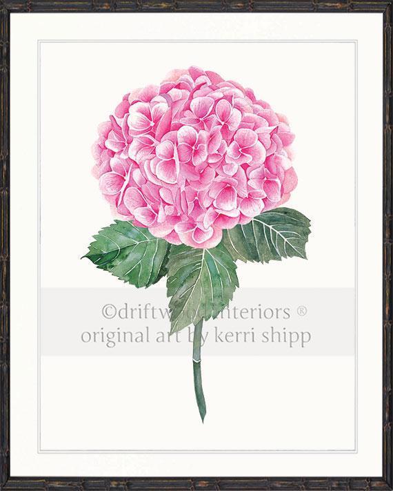 Botanical Wall Art Print - Pink Hydrangea I - Driftwood Interiors