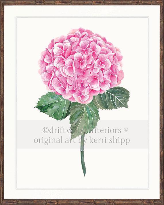 Botanical Wall Art Print - Pink Hydrangea I - Driftwood Interiors