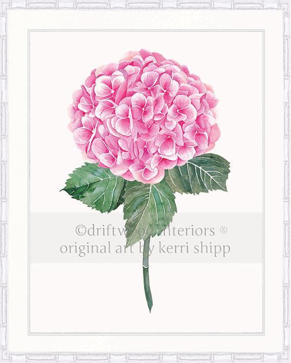 Botanical Wall Art Print - Pink Hydrangea I - Driftwood Interiors