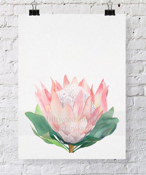 Pink Protea I - Driftwood Interiors