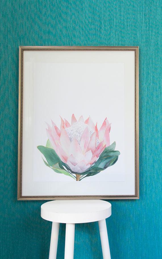 Pink Protea I - Driftwood Interiors