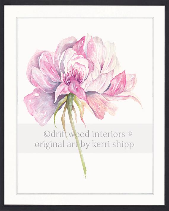 Rose Flower Print - Overblown Rose I