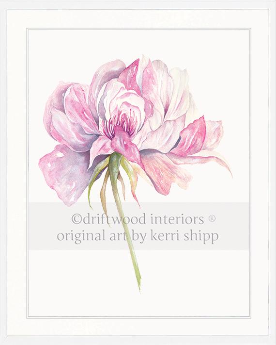 Rose Flower Print - Overblown Rose I