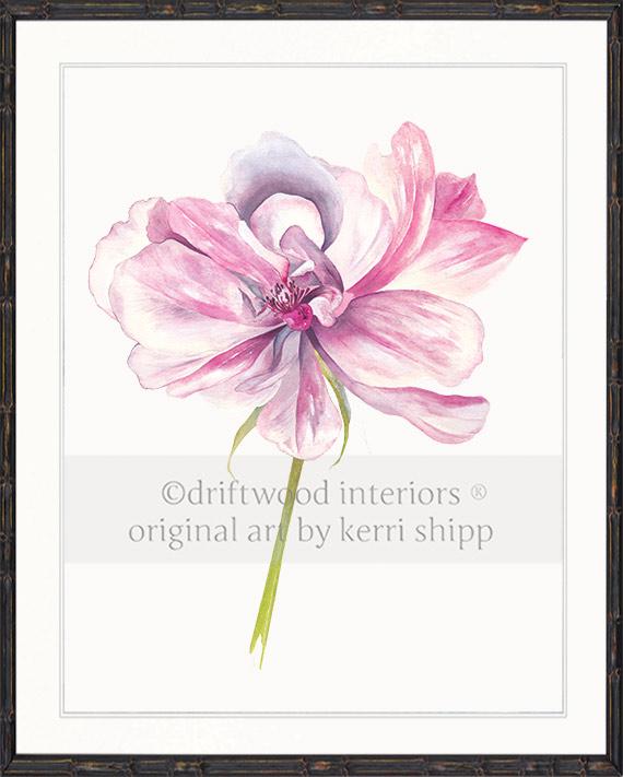 Rose Flower Print - Overblown Rose II