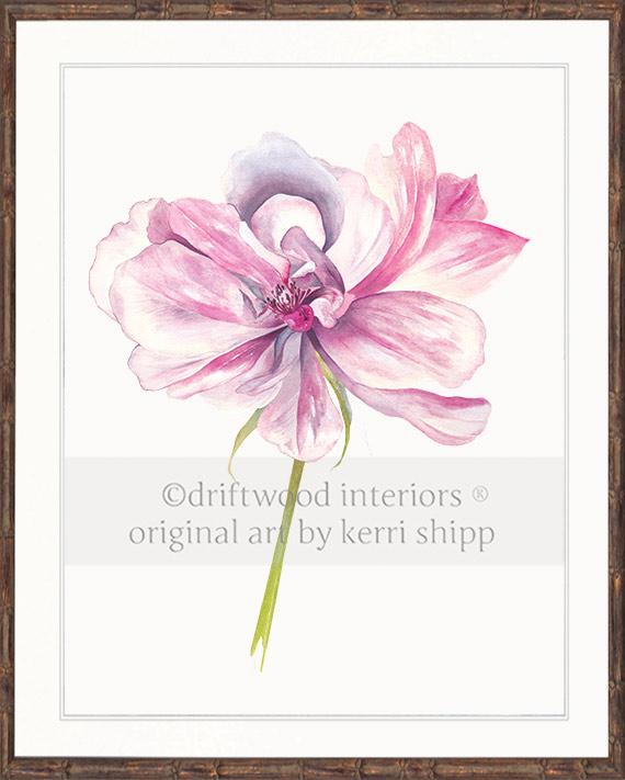 Rose Flower Print - Overblown Rose II