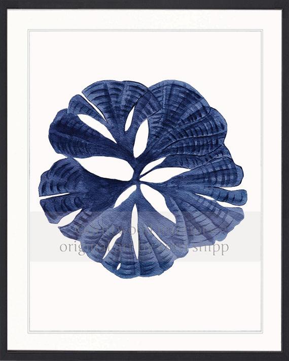 Coral Wall Art Print - Fan Coral I in Denim