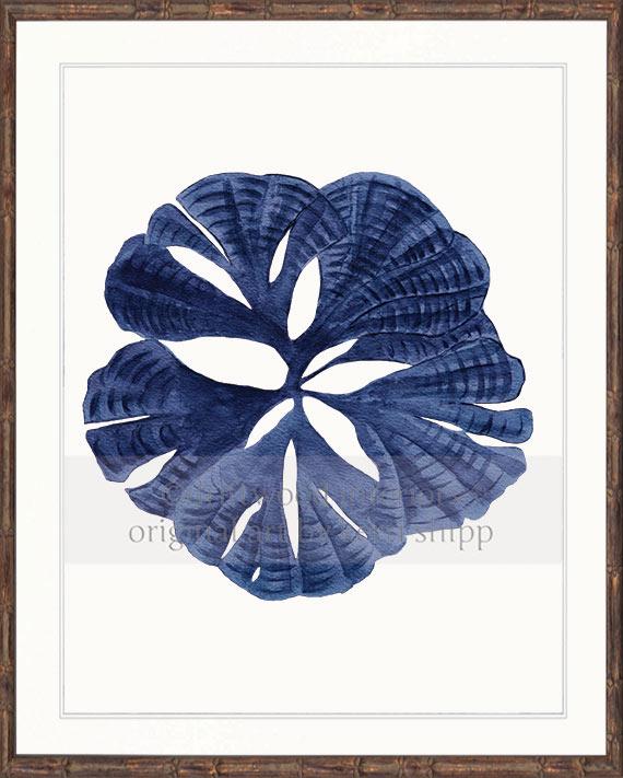 Coral Wall Art Print - Fan Coral I in Denim