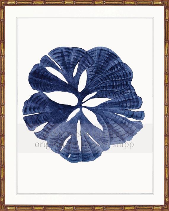 Coral Wall Art Print - Fan Coral I in Denim