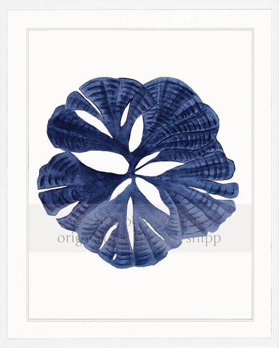 Coral Wall Art Print - Fan Coral I in Denim