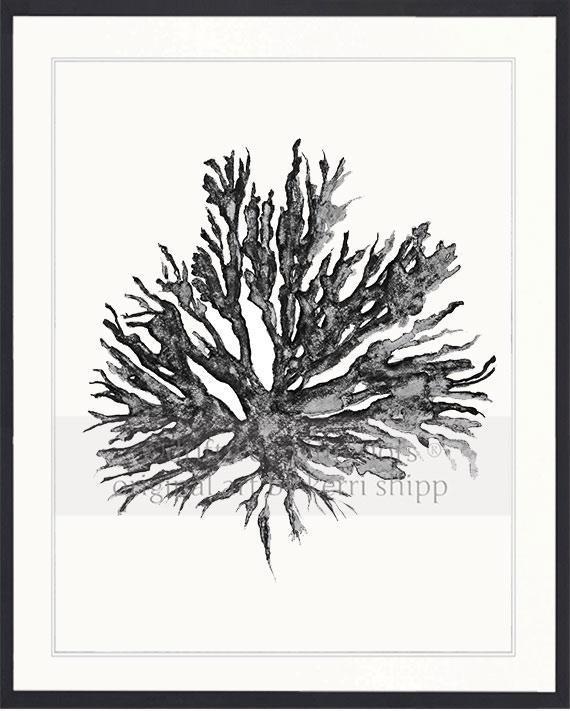 Sea Coral II in Charcoal - Driftwood Interiors