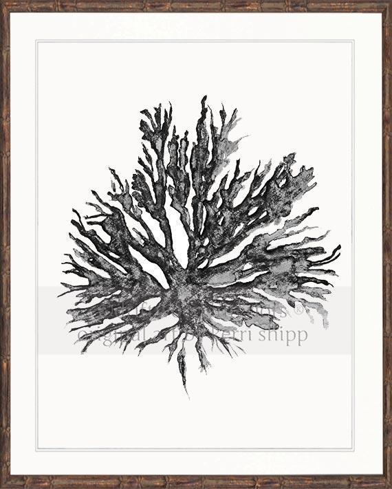 Sea Coral II in Charcoal - Driftwood Interiors