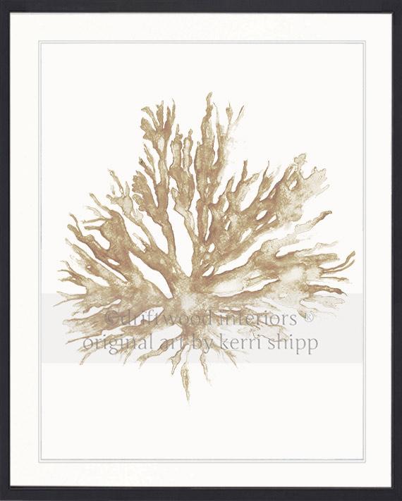 Sea Coral II in Natural