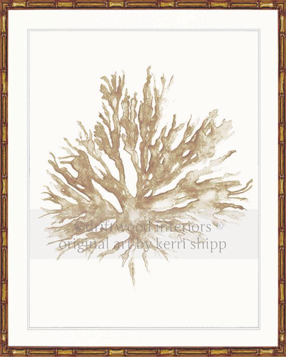 Sea Coral II in Natural