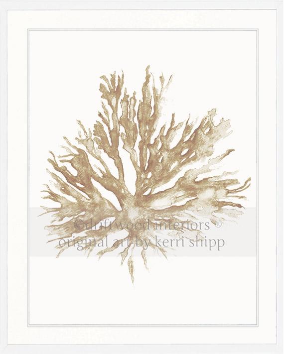 Sea Coral II in Natural