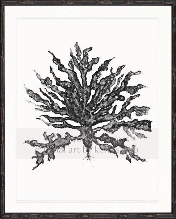 Sea Coral III in Charcoal - Driftwood Interiors