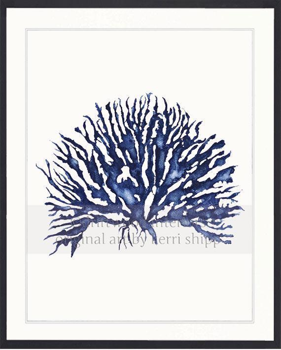 Blue Coral Wall Art Print - Hampton Style Art in Black Timber Frame - Driftwood Interiors