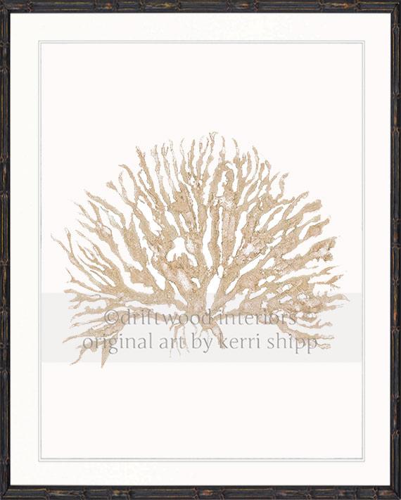 Sea Coral IV in Natural