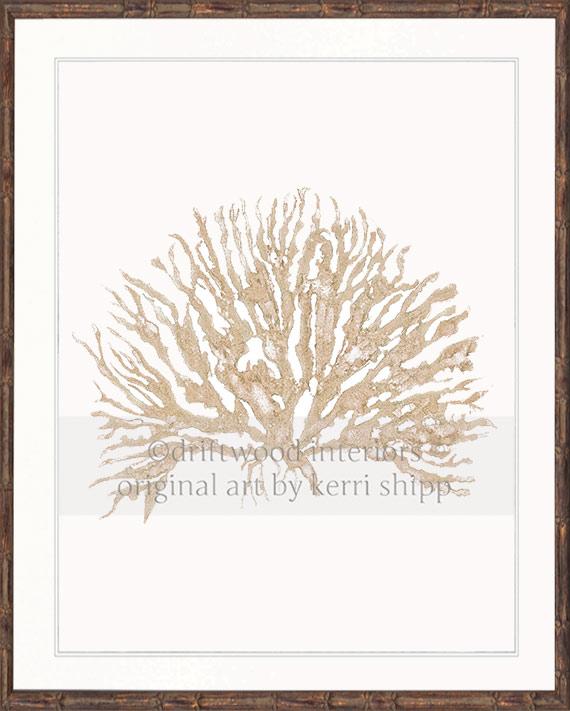 Sea Coral IV in Natural