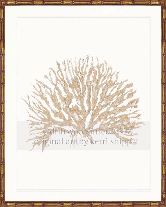 Sea Coral IV in Natural