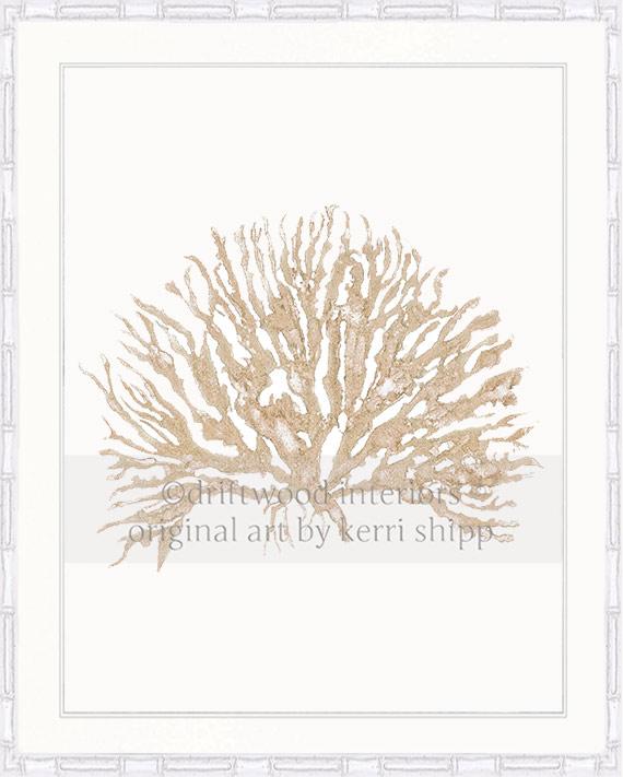 Sea Coral IV in Natural