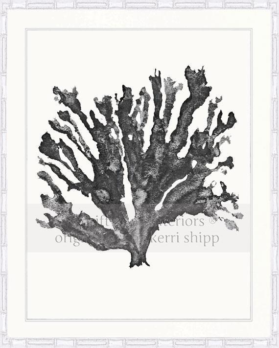 Sea Coral in Charcoal - Driftwood Interiors