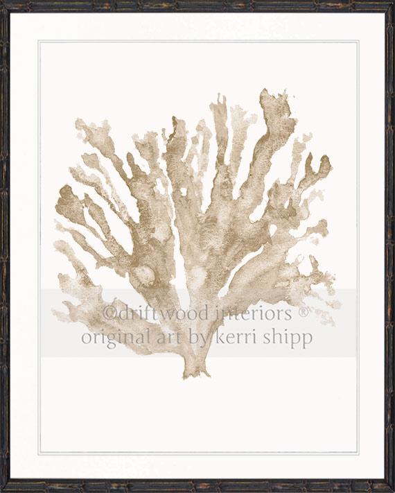 Sea Coral in Natural