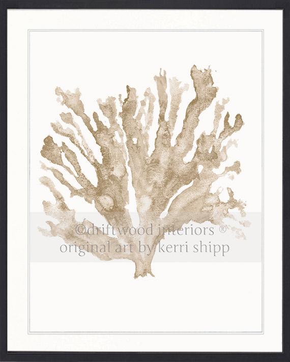 Sea Coral in Natural