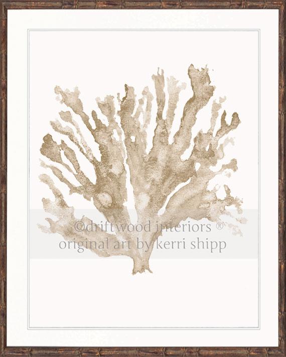 Sea Coral in Natural