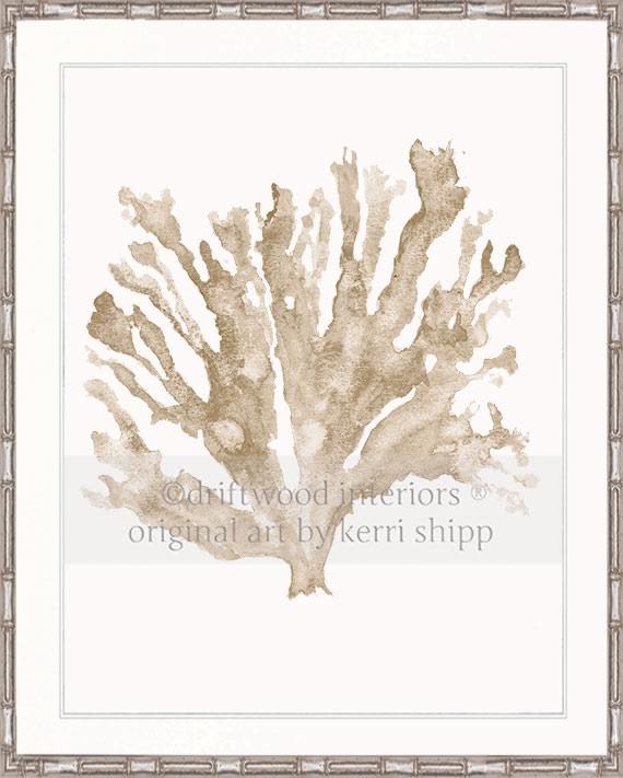 Sea Coral in Natural