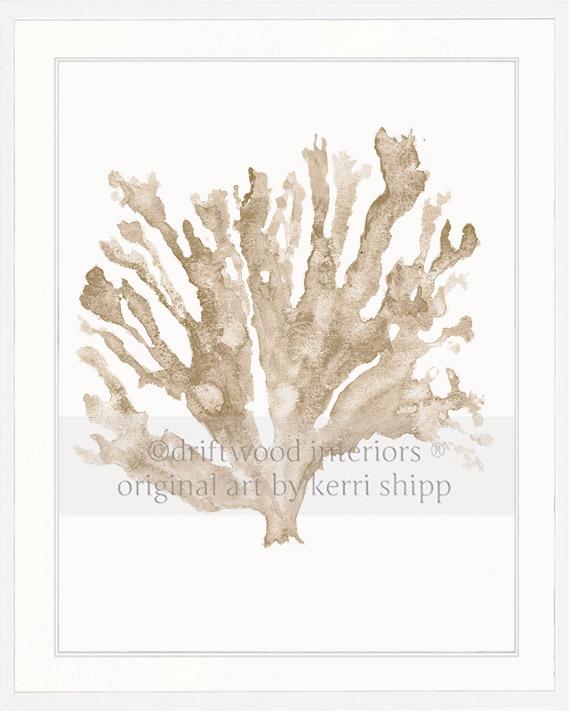 Sea Coral in Natural