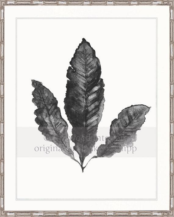 Sea Fan II in Charcoal - Driftwood Interiors