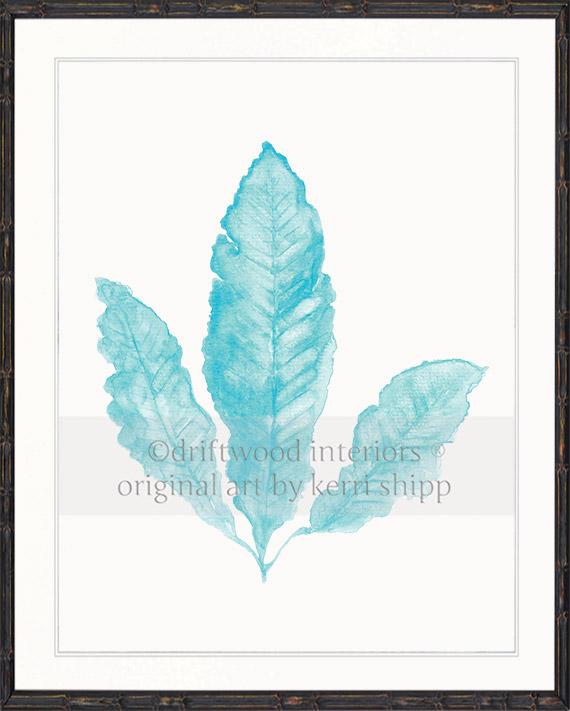 Sea Fan II in Turquoise