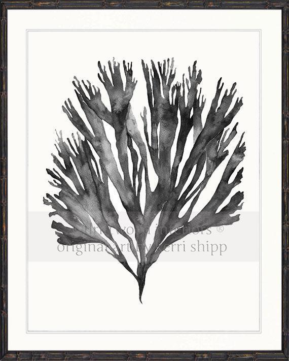 Sea Fan V in Charcoal - Driftwood Interiors