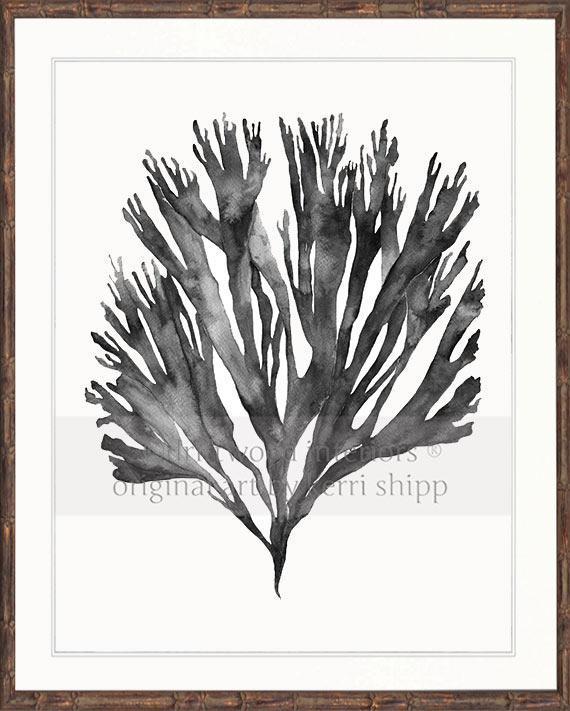 Sea Fan V in Charcoal - Driftwood Interiors