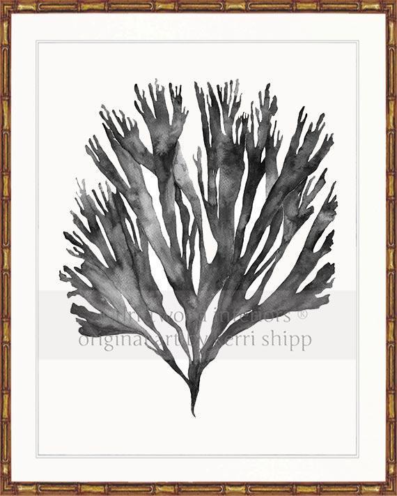 Sea Fan V in Charcoal - Driftwood Interiors