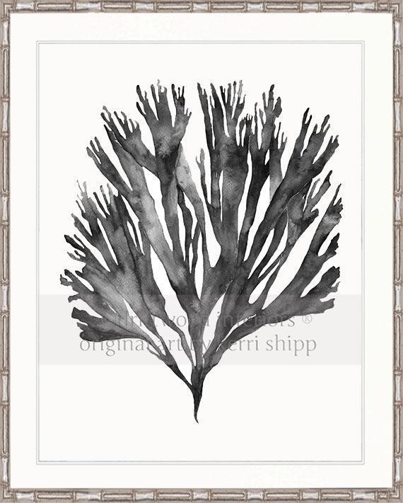 Sea Fan V in Charcoal - Driftwood Interiors