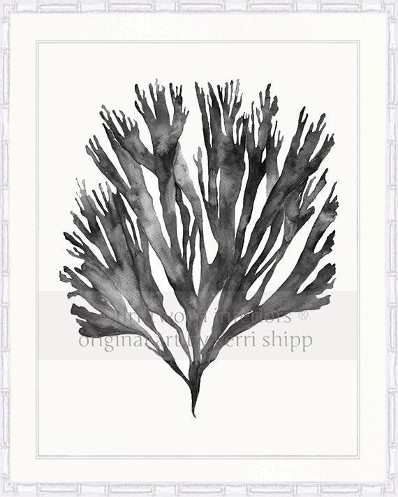 Sea Fan V in Charcoal - Driftwood Interiors