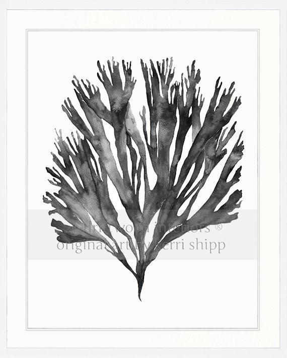 Sea Fan V in Charcoal - Driftwood Interiors