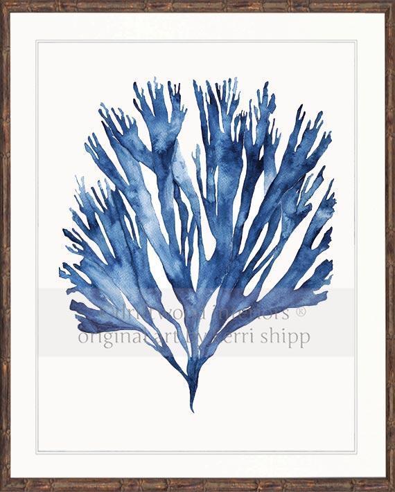 Sea Fan V in Denim - Driftwood Interiors