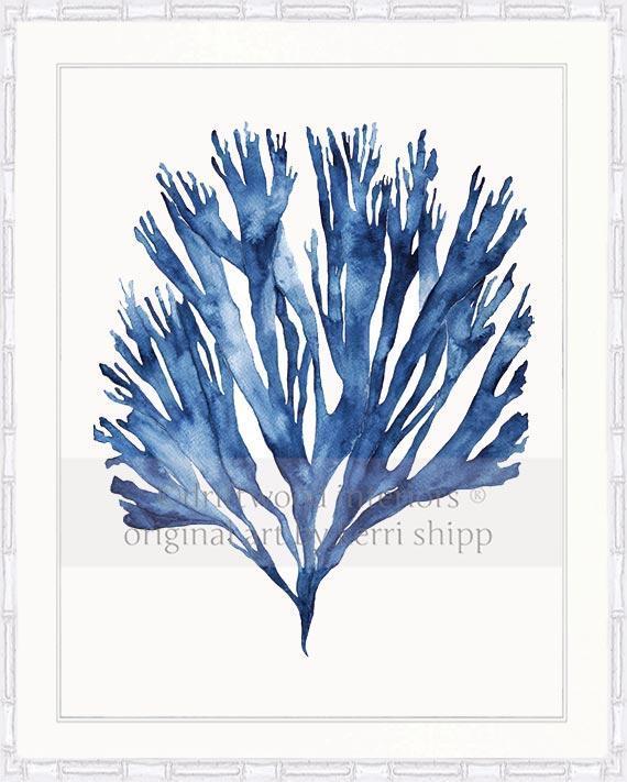 Sea Fan V in Denim - Driftwood Interiors