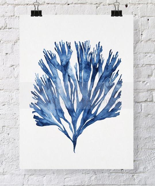 Sea Fan V in Denim - Driftwood Interiors