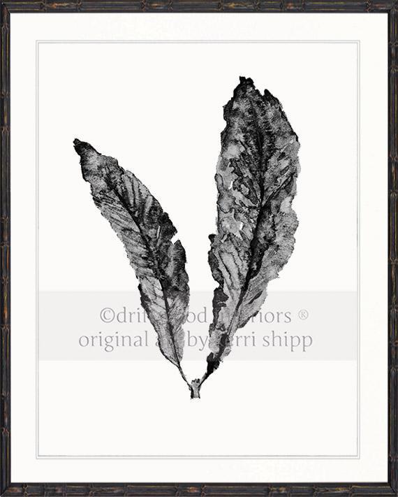 Sea Fan in Charcoal - Driftwood Interiors