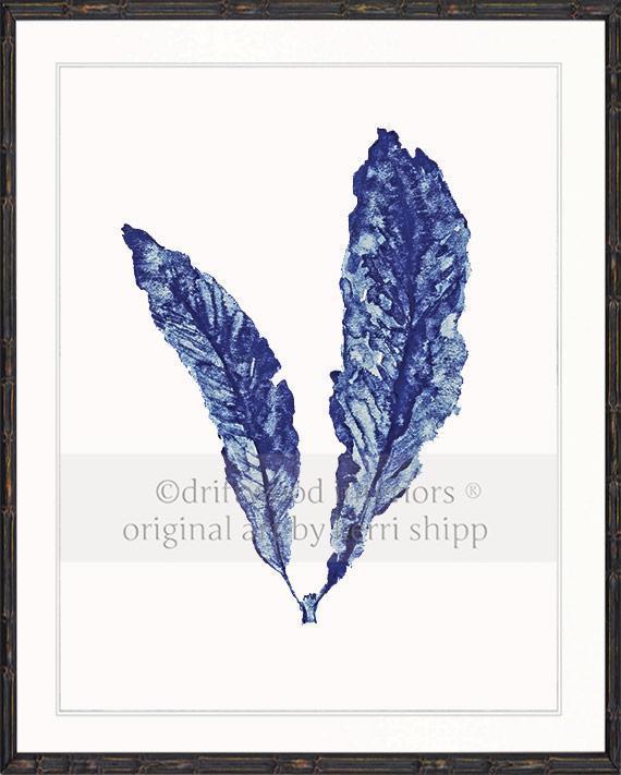 Sea Fan in Denim - Driftwood Interiors