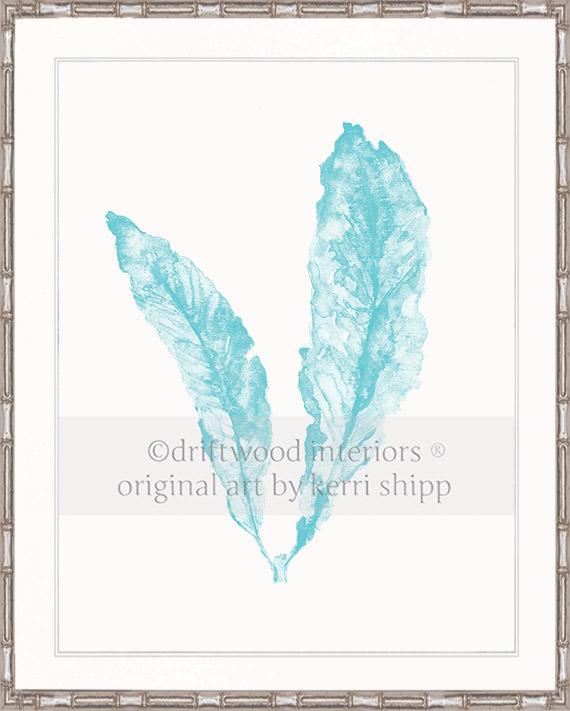 Sea Fan in Turquoise