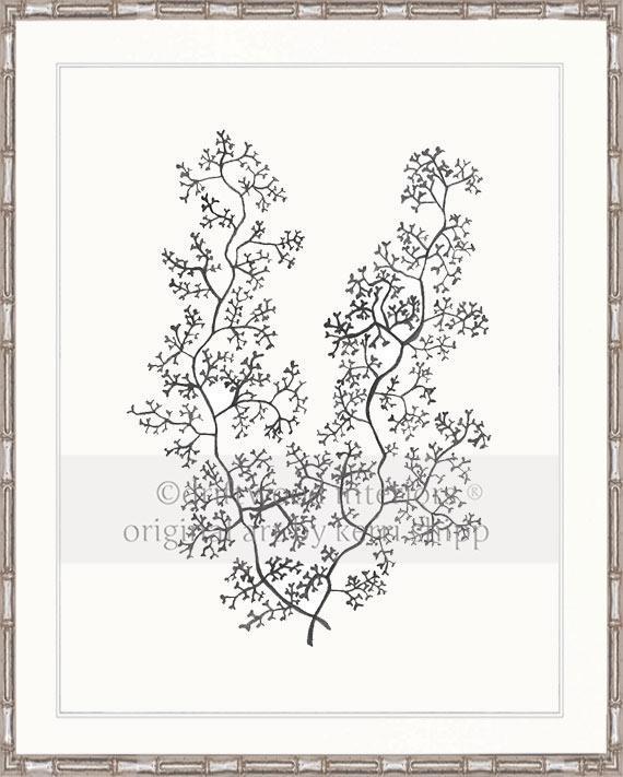 Sea Fern II in Charcoal - Driftwood Interiors