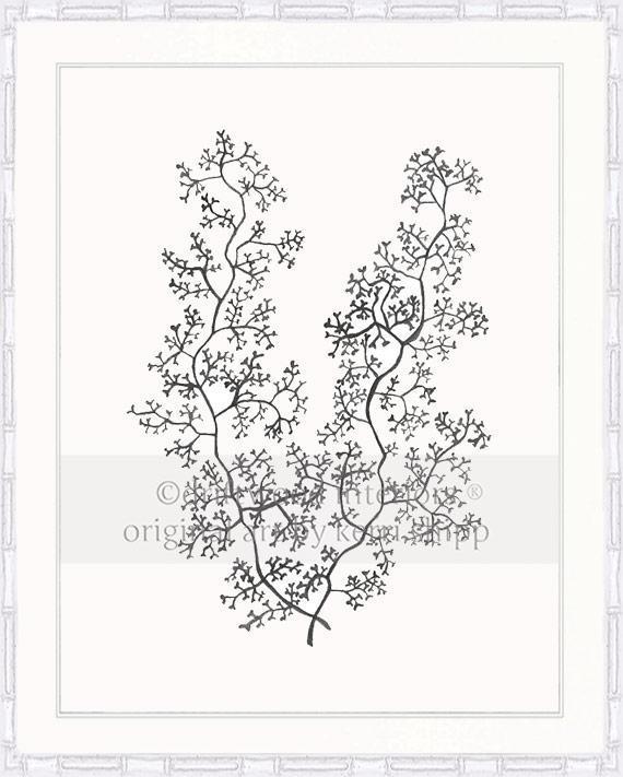 Sea Fern II in Charcoal - Driftwood Interiors