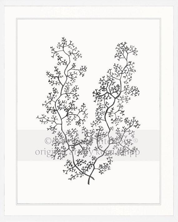 Sea Fern II in Charcoal - Driftwood Interiors